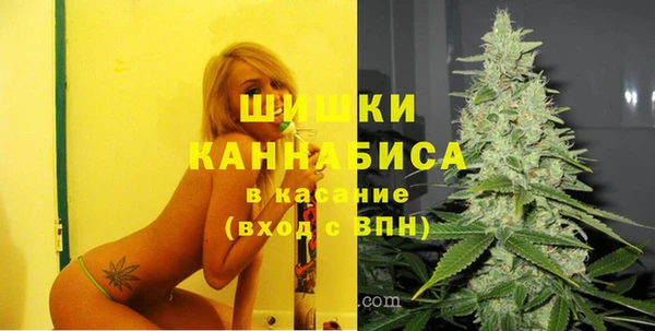 крисы Белоозёрский