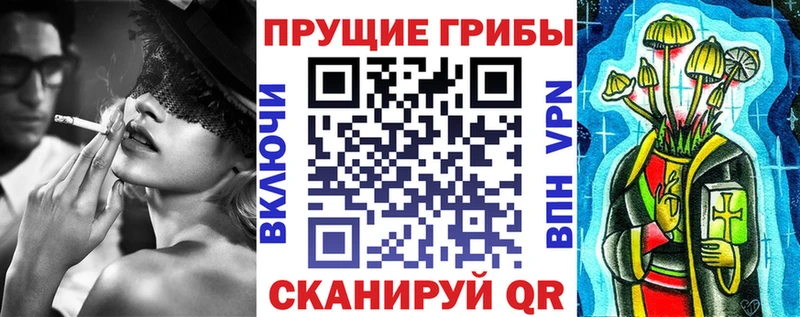 hydra ТОР  Котовск  Галлюциногенные грибы Psilocybe 